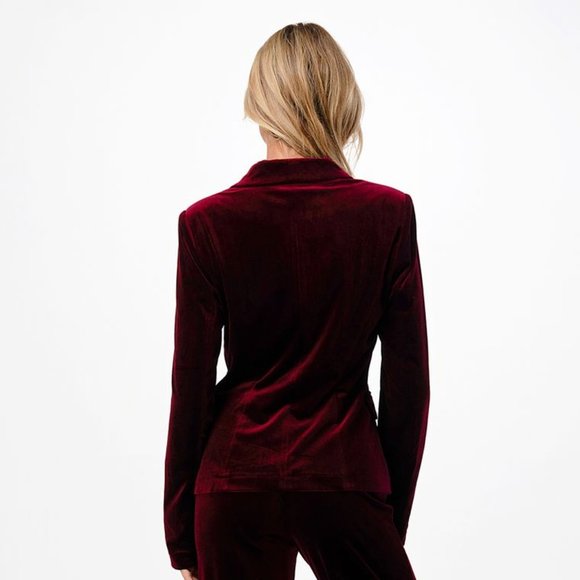 Burgundy Velvet Blazer - Picture 4 of 5